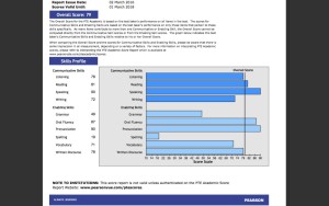 PTE sample scorecard